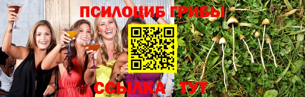Галлюциногенные грибы мицелий Воткинск